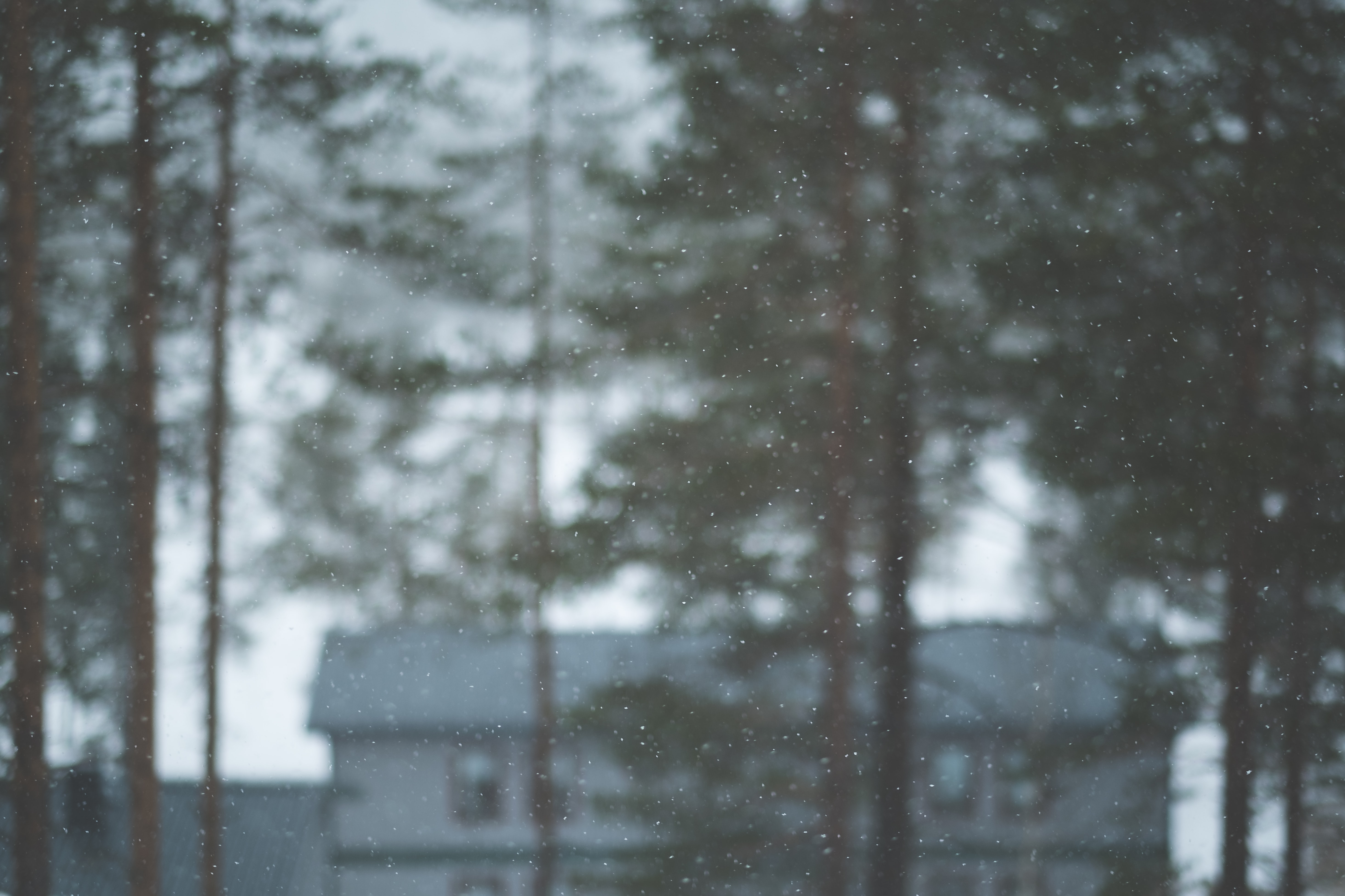 TEMP - Suddig bild på granar framför ett hus med snö som fallar i fokus.